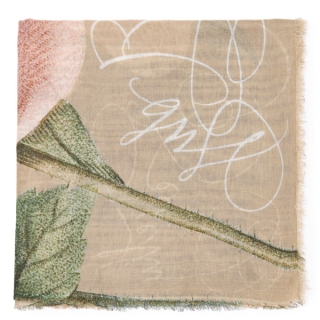 Faliero Sarti - Faliero Sarti Rosetta 2106