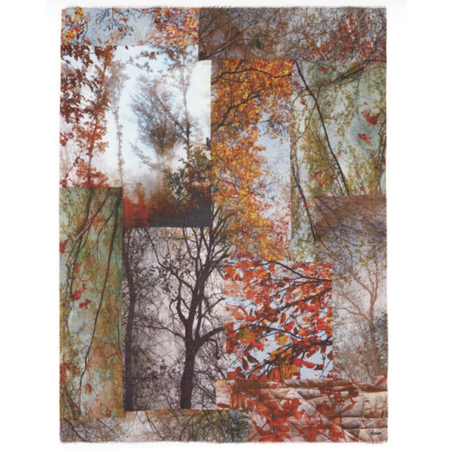 Faliero Sarti - Faliero Sarti Forest