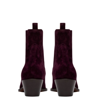 Buttero - Buttero B10190 amarone