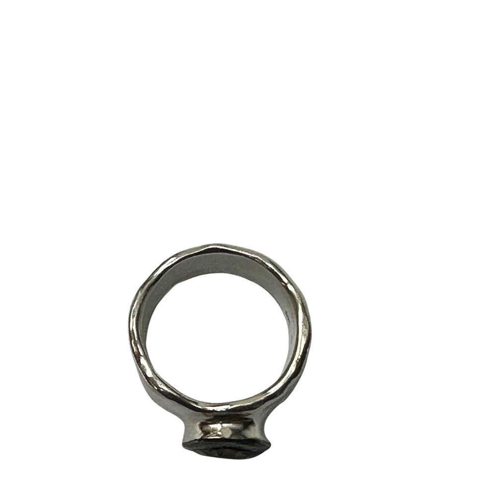 Rosa Maria - Addison 1 HNY - Image 2