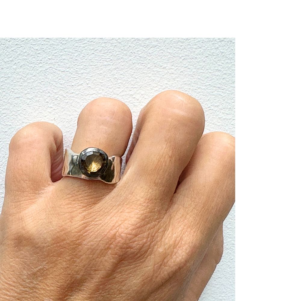 Rosa Maria - Addison 1 HNY - Image 3