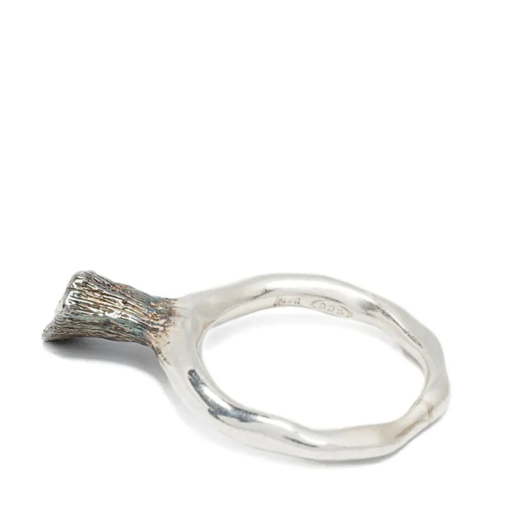 Rosa Maria - Jhana Dia co - Image 2