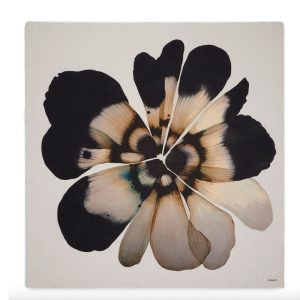 Faliero Sarti - New Isadora 2 (kopie)